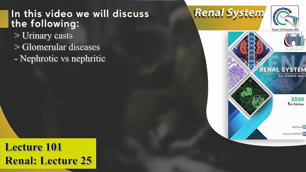 Urinary casts || Glomerular diseases || Nephrotic vs nephritic