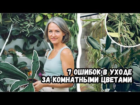 , title : 'Проблемы с комнатными цветами - 7 самых частых ошибок | Секреты в уходе за комнатными растениями'