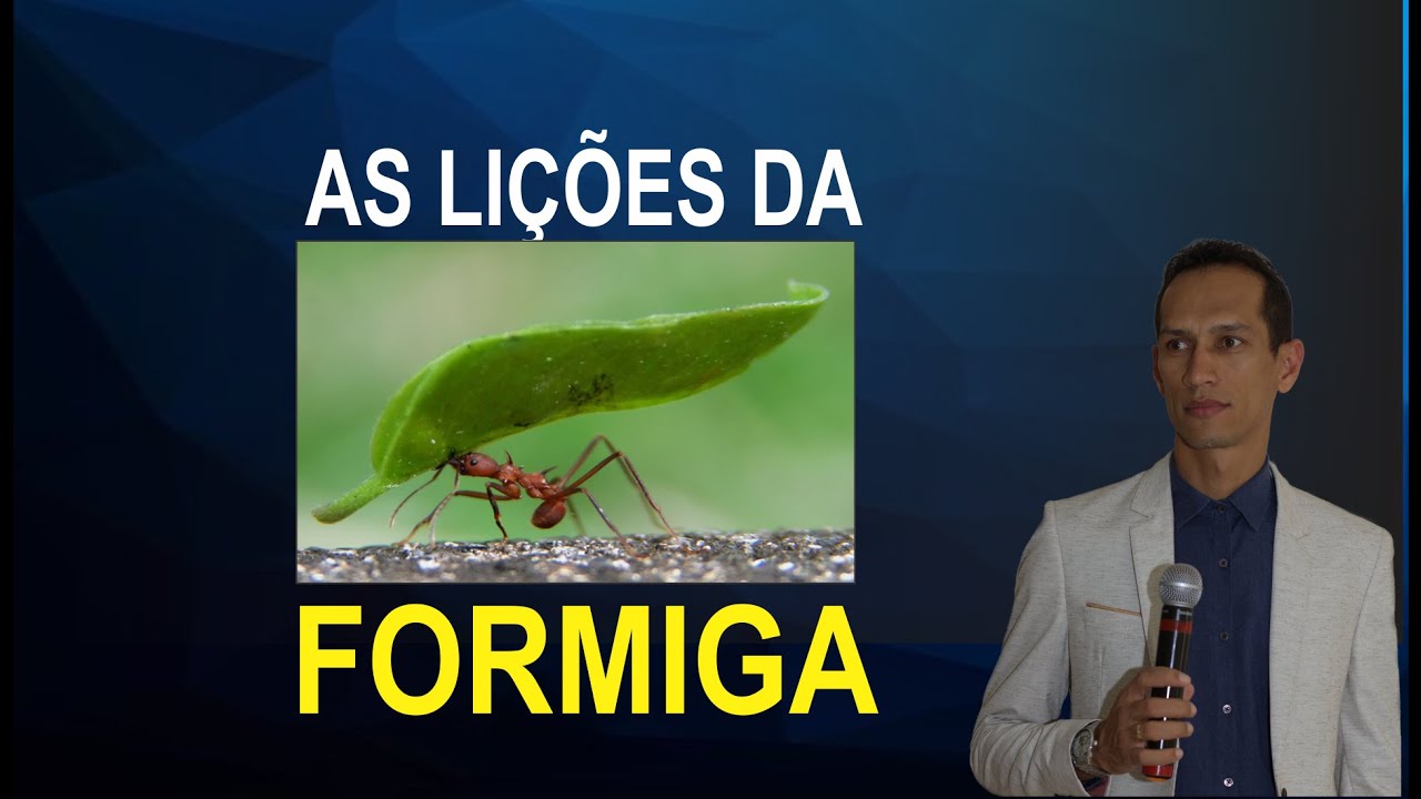 Watch Now AS LIÇÕES DA FORMIGA AS LIÇÕES DA FORMIGA