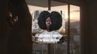 Download lagu AMBITIØS | DJ Ambicioso | Calder Harris | You Make Me Feel | ft. Nala | 😎 mp3