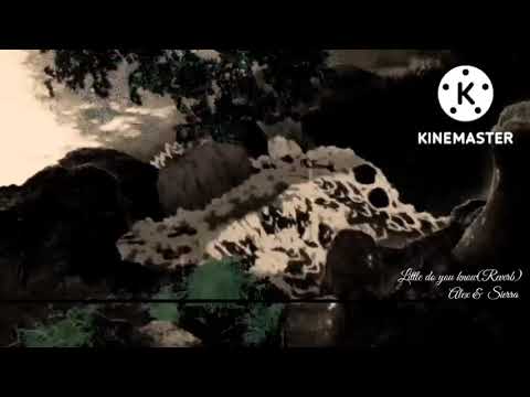 little do you know(#nightcore+Reverb)