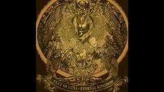 Cult Of Luna - Curse [Lyrics]