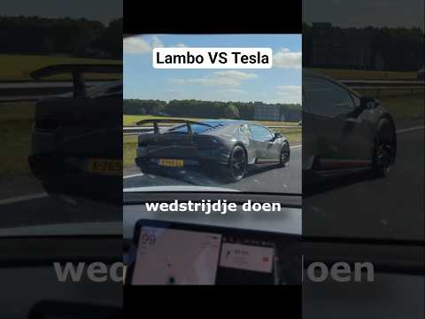Lamborghini VS Tesla Model 3 Performance