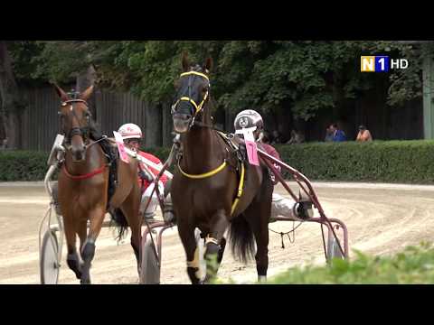 Traiskirchner Renntag auf der Trabrennbahn in Baden