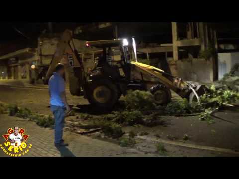 Uma árvore de grande porte caiu na Avenida Jk de Oliveira bloqueando o acesso dos veículos