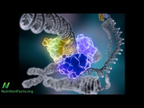 緑の食事でがんを予防する (Eating Green to Prevent Cancer)