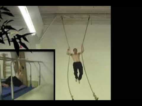 Lorin Ball's ANC2 video Top 16