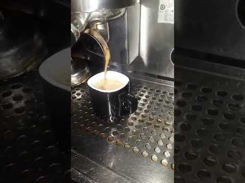 arabica 100/100