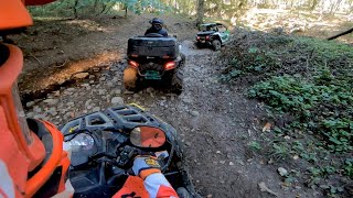 RIDE ATV IN AMAZING FOREST