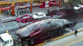 Dont Kill The Whale - Rick Wakeman - SHo0o0o0oG -