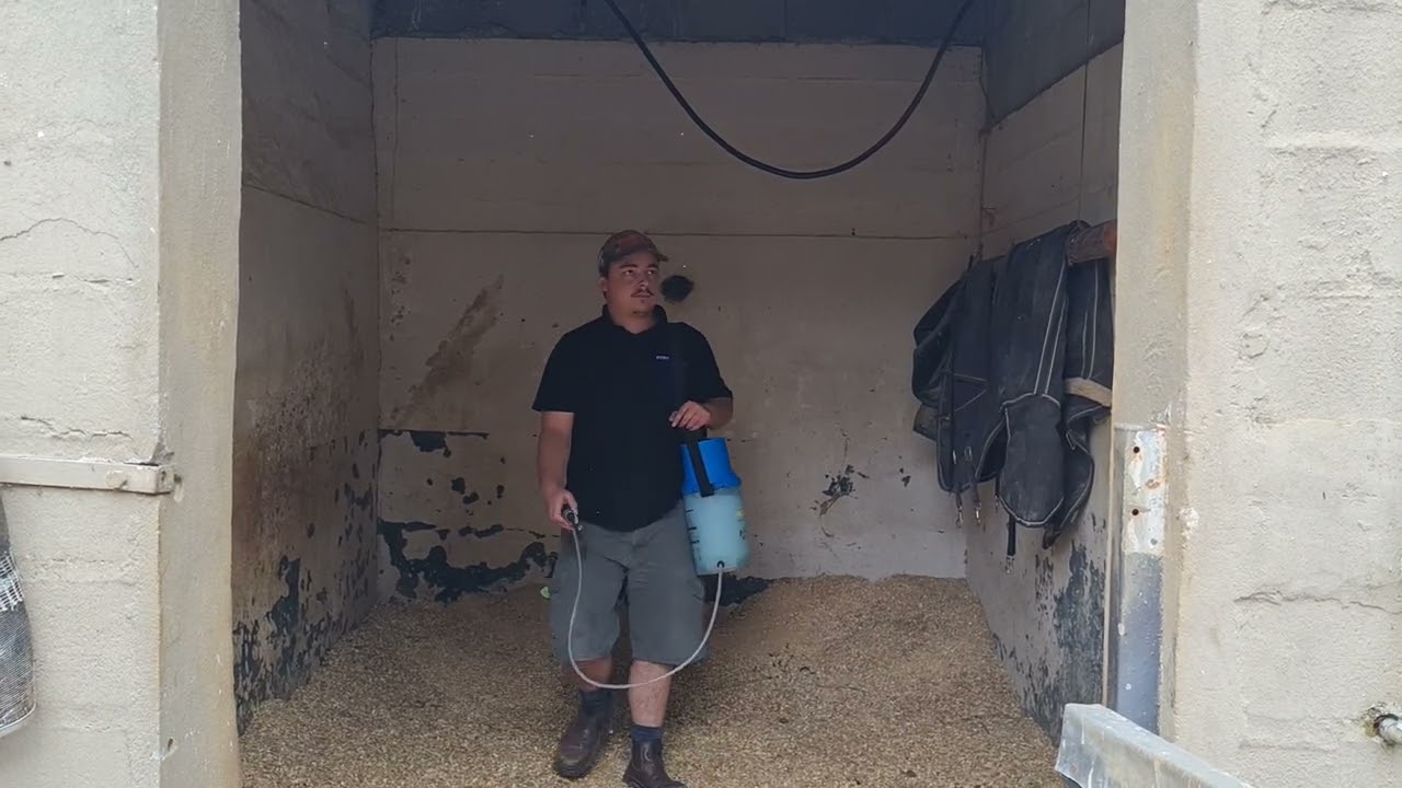 Bird Lice Treatment for Stables