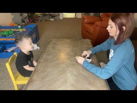 Discrete Trial Teaching (DTT)