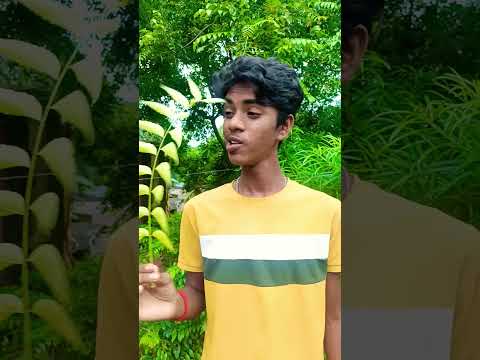 Mom reveals her secret question 😘#2118