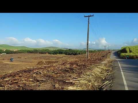 Porto Calvo Alagoas 