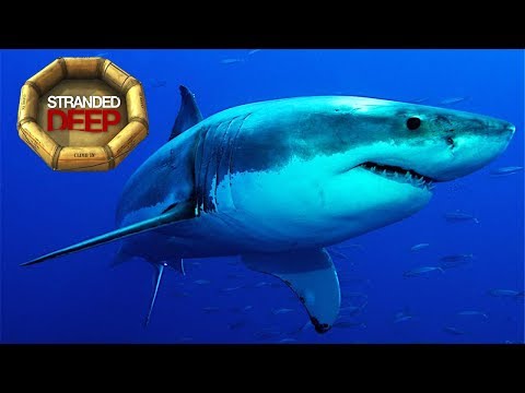 3 - CHORI VS EL TIBURÓN, VOY A POR TI PESCAITO! 🐳🦈 - STRANDED DEEP