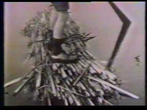 Stadtansichten: Finkenwerder