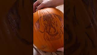 How to Carve a Pumpkin with a Dremel - Beginners Guide #pumpkincarving