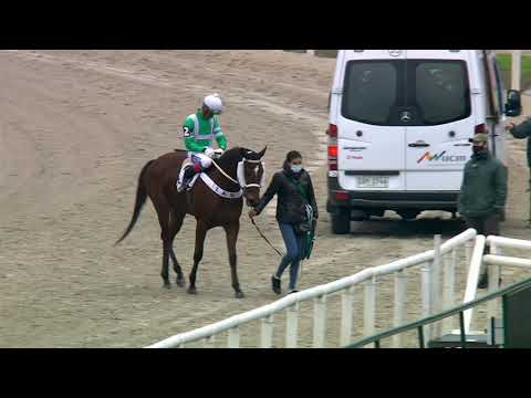 210808 c04 Haras Potrancas/ FLOR DE ROCIO