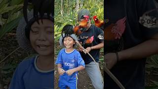 Download lagu Getting a jungle fowl makes the little ones happy #diy #craft #video #viral #trending #shorts mp3