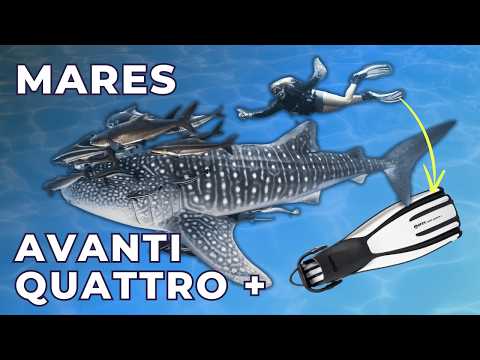 Divemasters love these scuba fins! Mares Avanti Quattro + [Fins Review 2025]