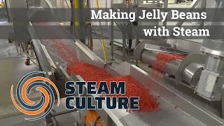 Making Jelly Beans with Steam - Steam Culture