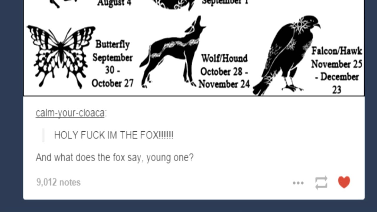 Sometimes I Hate Tumblr