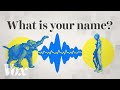 How AI Could Help Us Talk To Animals