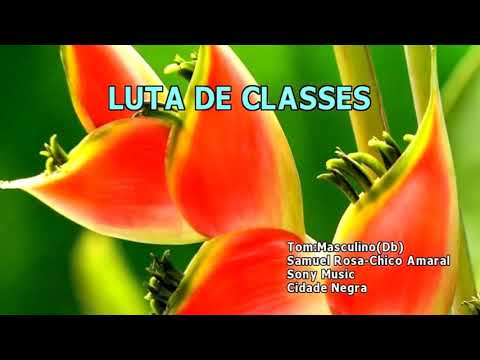 Luta de classes - Cidade Negra