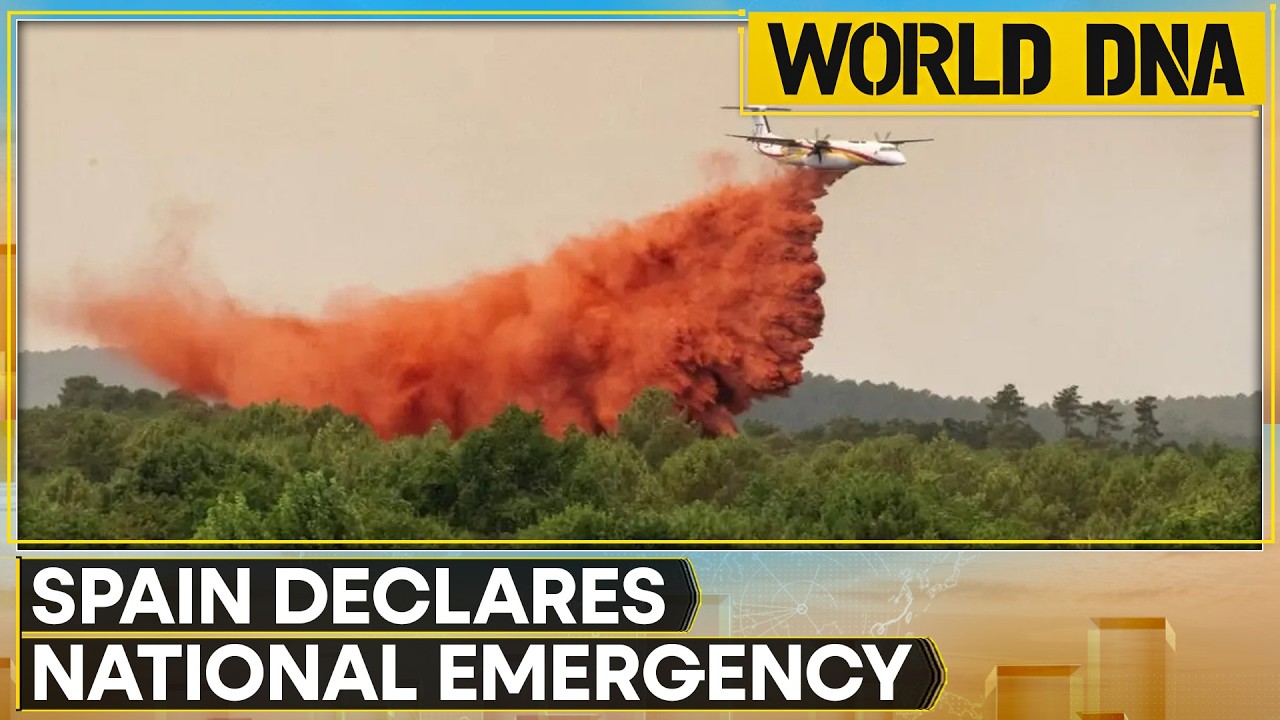 Spain Declares Nationwide Emergency: Evacuations Underway | WION World DNA
