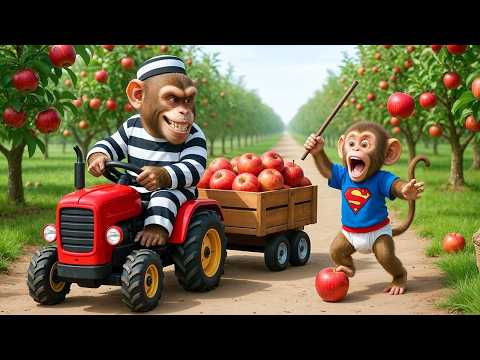 Monkey iZi Drives Tractor to Harvest Apples and Catch a Sneaky Thief on the Farm! 🐒🍊🚜