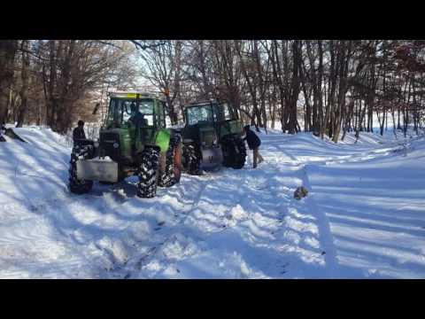 Fermierii din Alamor