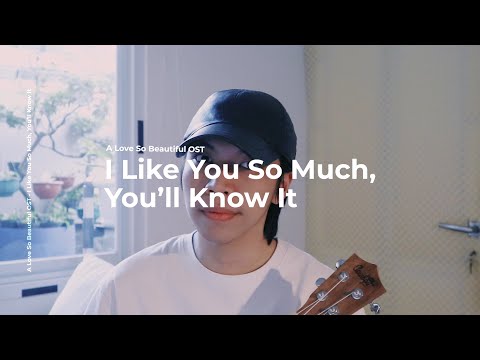 I Like You So Much, You'll Know It  (我多喜欢你，你会知道) - A Love So Beautiful OST | Chris Andrian Yang