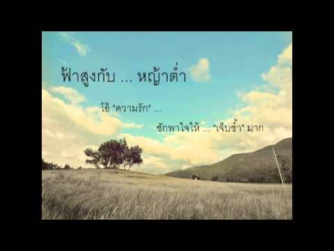 ไก่ไขมันในหีเล็ก จุดฝังเข็มอ่อนแอ