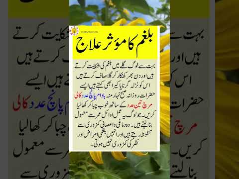 Balgam Ka Ilaj #shorts #youtubeshorts #totkay