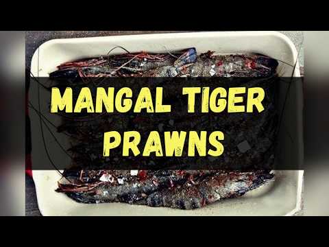 Mangal Tiger Prawns / Book of recipes / Bon Appetit