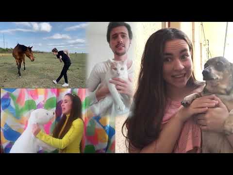 Országos Musical& Operett Kurzus - Karantén-egyveleg