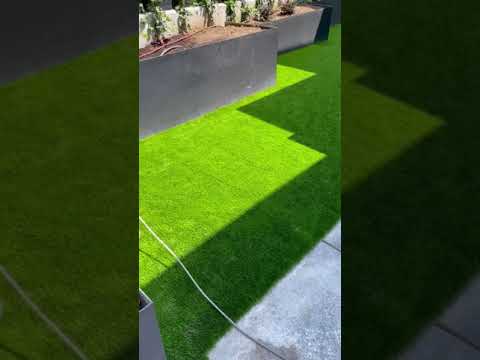 SELLACESPED Miniatura de video de YouTube 10