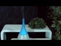 Vidéo