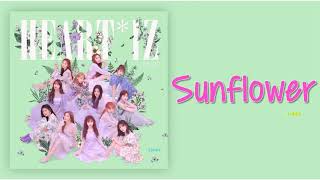 1 Hour ✗ Sunflower (해바라기) - IZ*ONE (아이즈원)