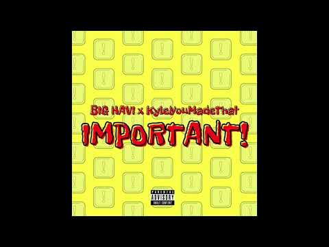 Big Havi & KyleYouMadeThat - Important! (AUDIO)