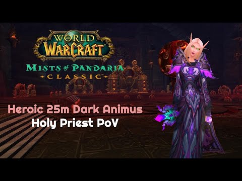 Heroic 25m Dark Animus Holy Priest PoV | Throne of Thunder