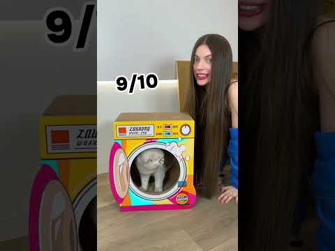 Top 5 Cat Houses 😼 Pt.6 #cat #cats