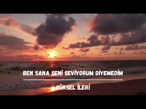 Gürsel İleri - Ben Sana Seni Seviyorum Diyemedim