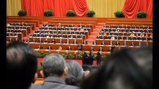 China Now: The 4th plenary session of the 20th CPC Central Committee and beyond