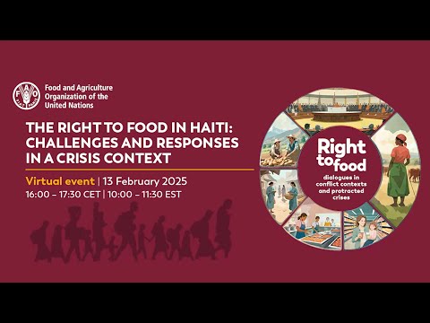 The right to food in Haiti: challenges and responses in a crisis context