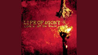 Love to Let You Down