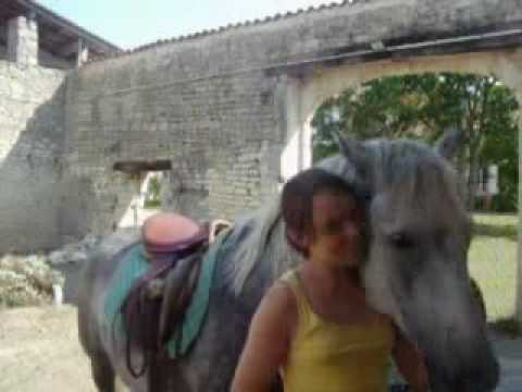 My Nedjam IIII Presentation