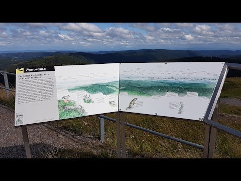 PANORAMA Blick vom FELDBERG @ SCHWARZWALD - Baden-Württemberg - Sommer