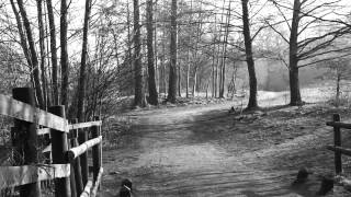 Erik Satie -  Gymnopédie No.1 played by Daniel Varsano