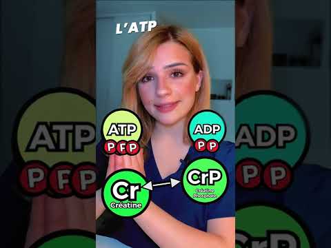 Ce que la CRÉATINE va faire à votre CORPS ⚡️💪